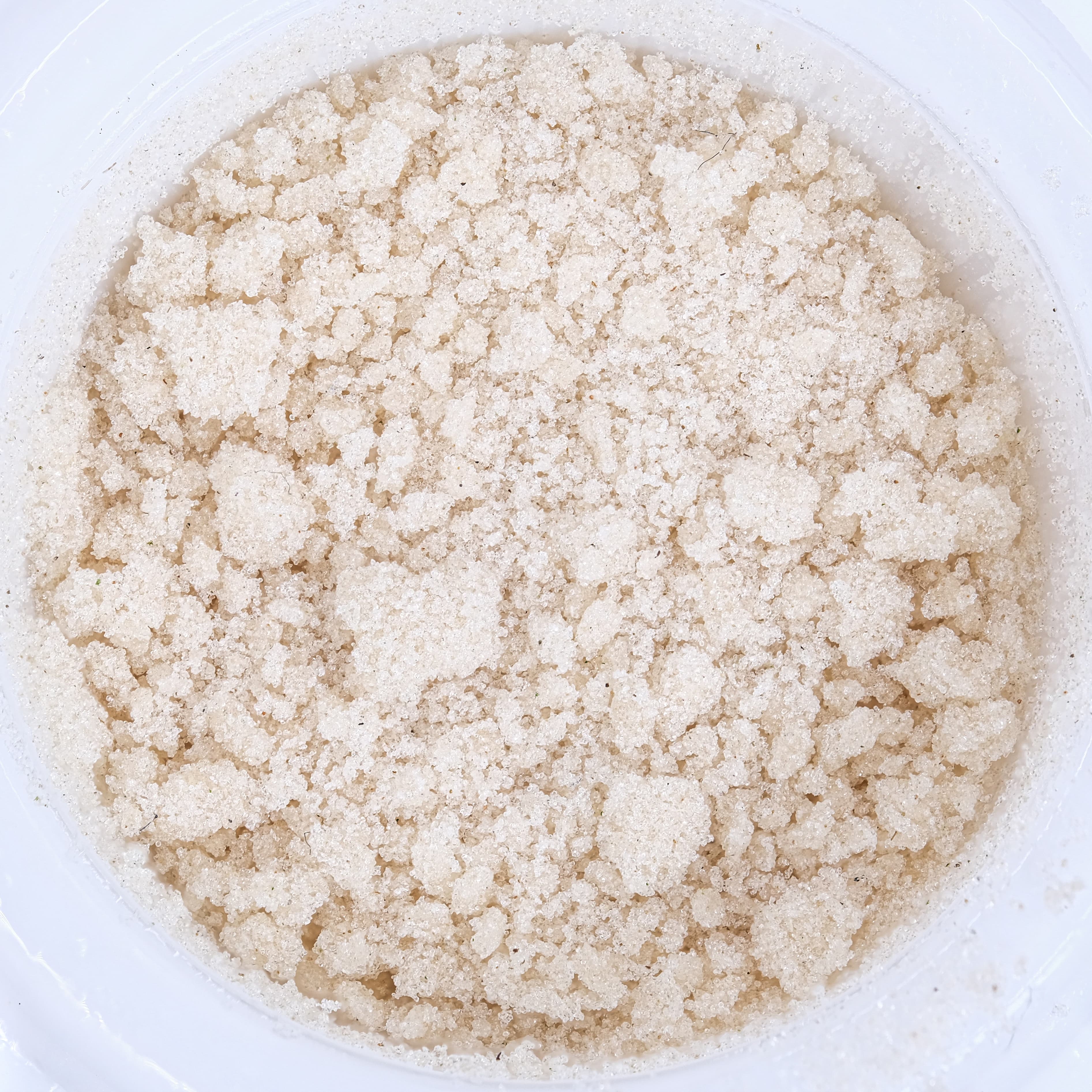 Key Lime Pie — Hybrid