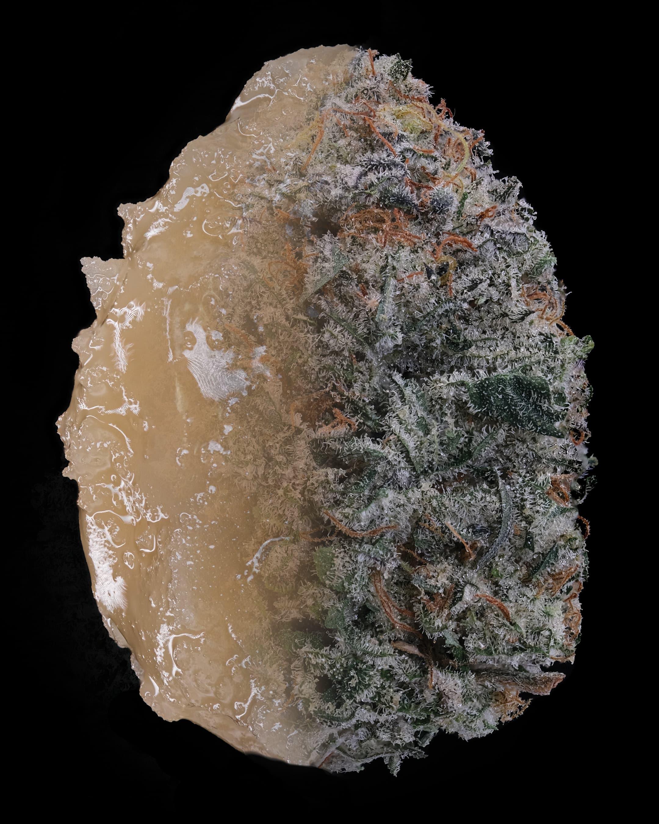 Papaya Cake — solventless hash rosin and flower